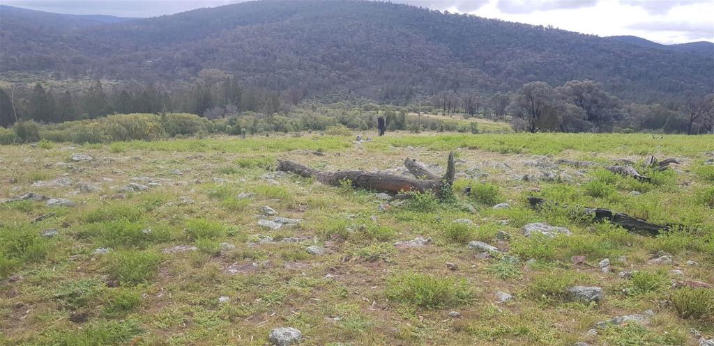 655 Monaghans Rd, Manildra, NSW 2865