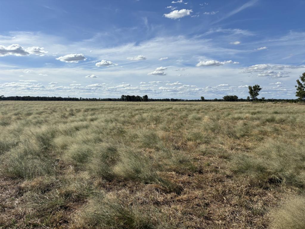 31850 Cunningham Hwy, Goondiwindi, QLD 4390