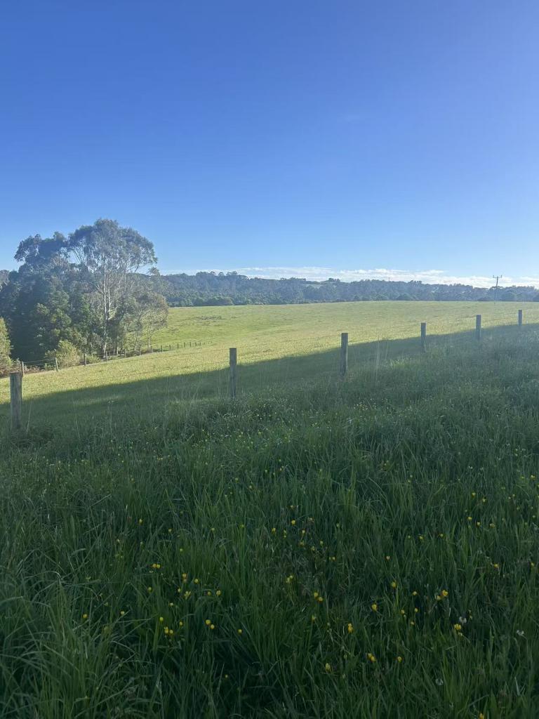 520 Dehnerts Trk, Beech Forest, VIC 3237