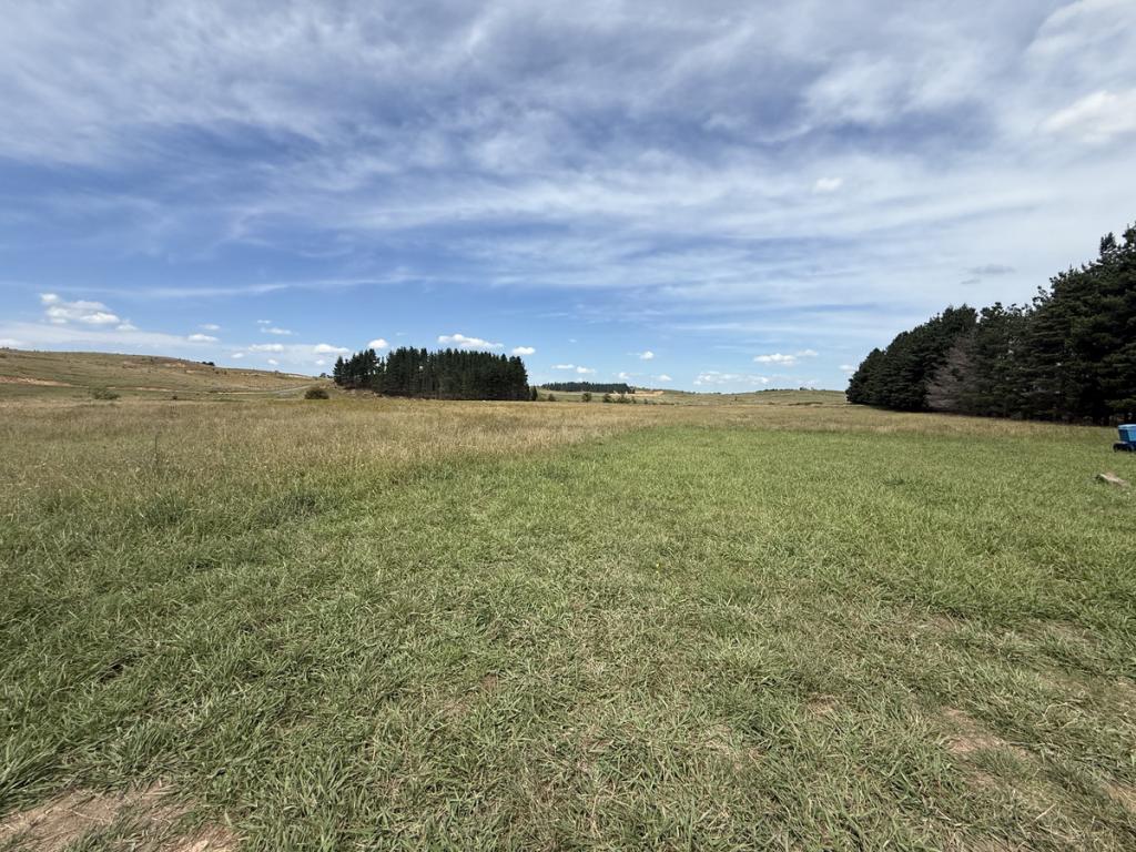 3120 Oallen Ford Rd, Windellama, NSW 2580