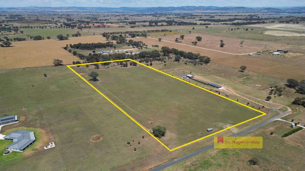 215 Black Lead Lane, Gulgong, NSW 2852