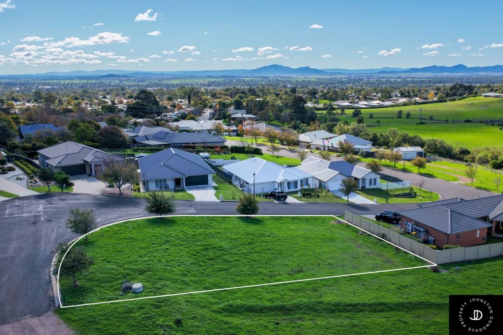 4 Dries Ave, Gunnedah, NSW 2380