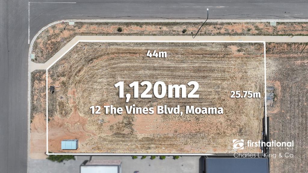 12 The Vines Bvd, Moama, NSW 2731