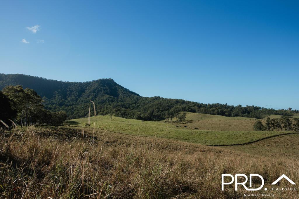 Lot 28, 46 Lynches Creek Rd, Wiangaree, NSW 2474