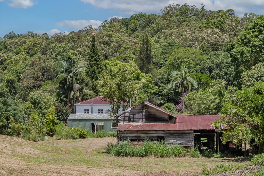 270 Zara Rd, Zara, NSW 2484