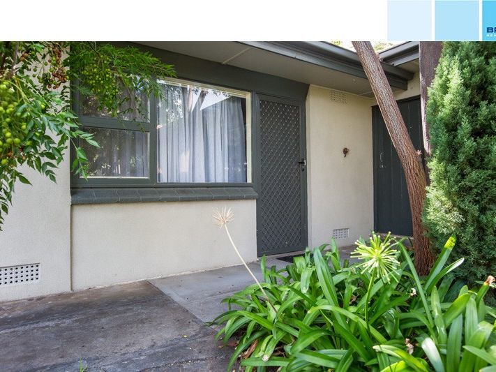 6/7 Martindale Ave, Toorak Gardens, SA 5065