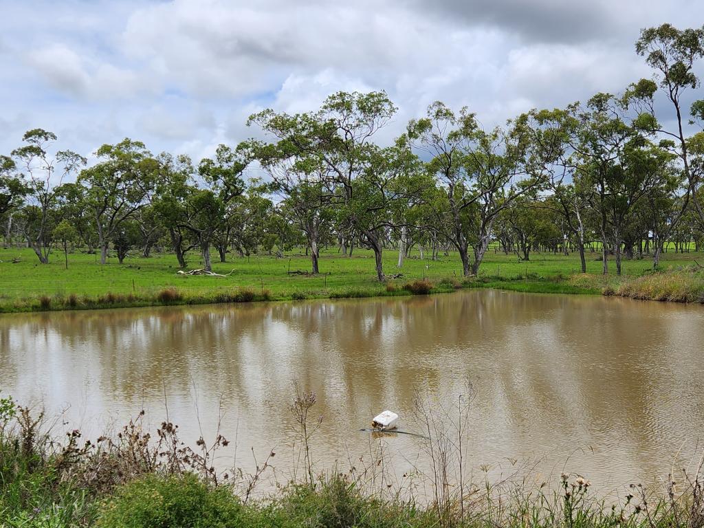 Lot 4 Sp 268228 Hermitage Emu Vale Rd, Junabee, QLD 4370