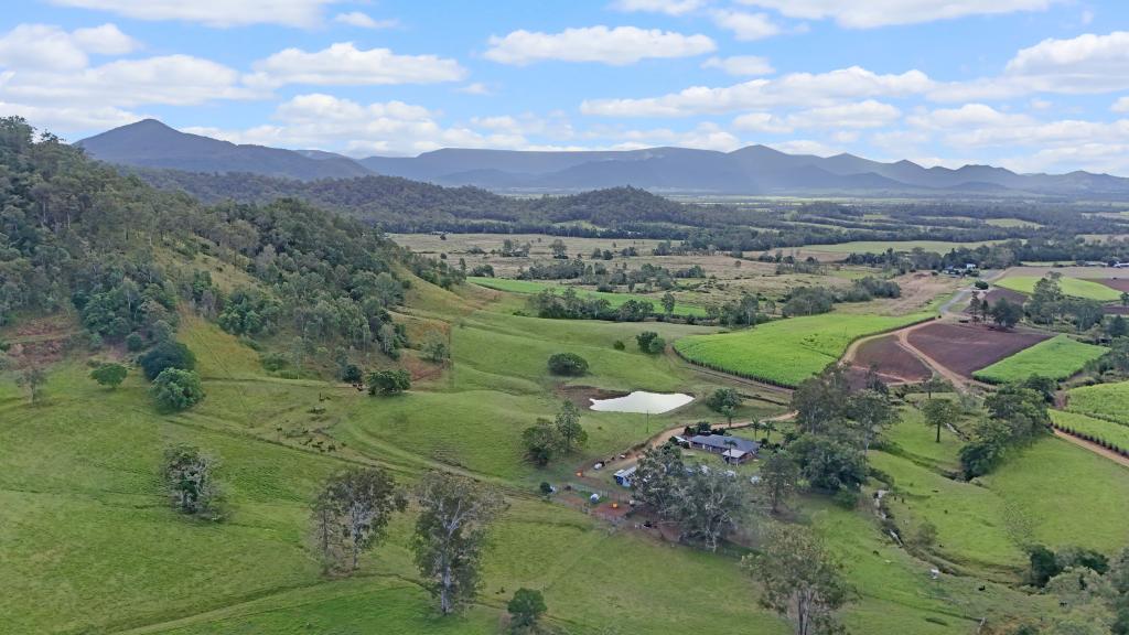 14 Pinnacle Station Rd, Pinnacle, QLD 4741