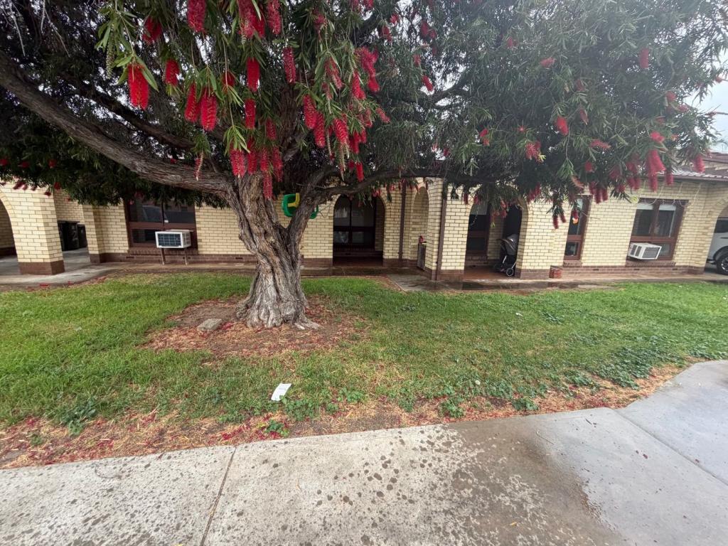 2/3 Webster St, Klemzig, SA 5087