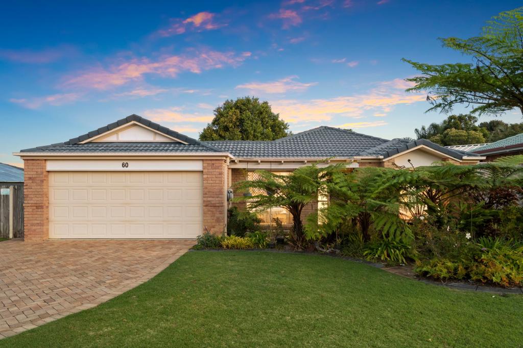 60 Dampier Cres, Drewvale, QLD 4116