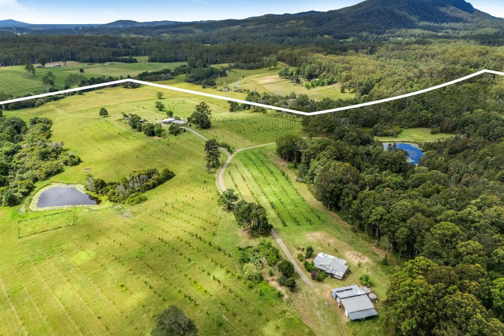 166 Tamban Rd, Eungai Creek, NSW 2441