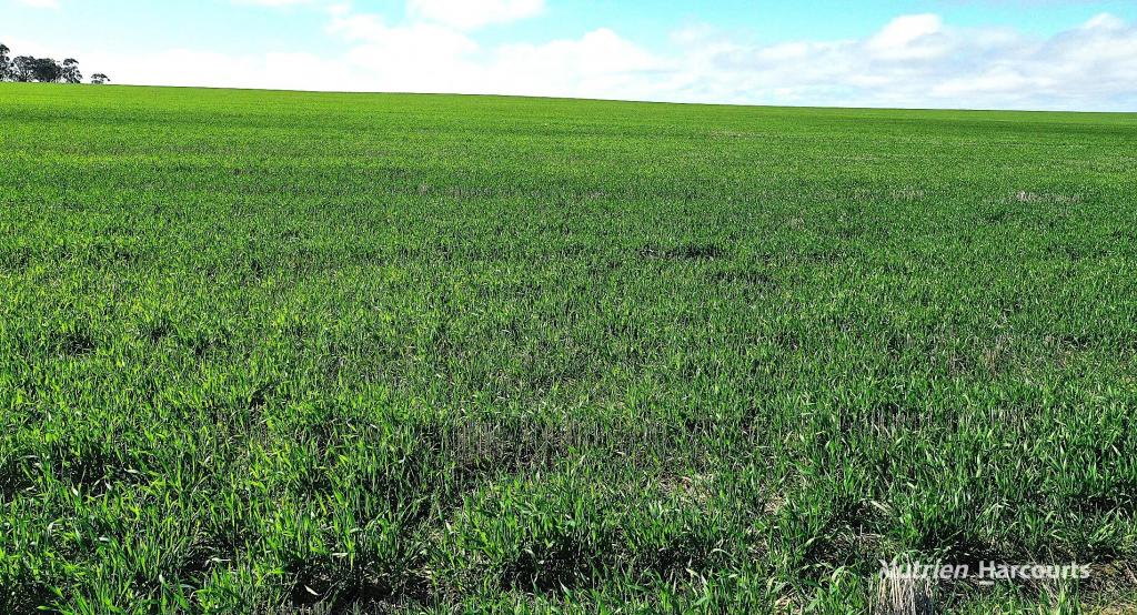 1905 Dalwallinu West Rd, Miling, WA 6575