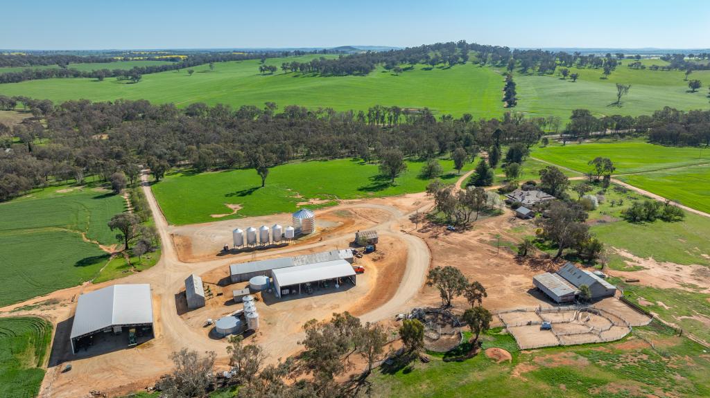 1726 Howlong Burrumbuttock Rd, Burrumbuttock, NSW 2642