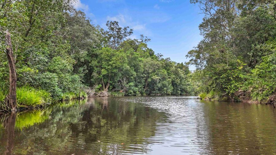 Lot 2 Golden Gate Rd, Tuan Forest, QLD 4650