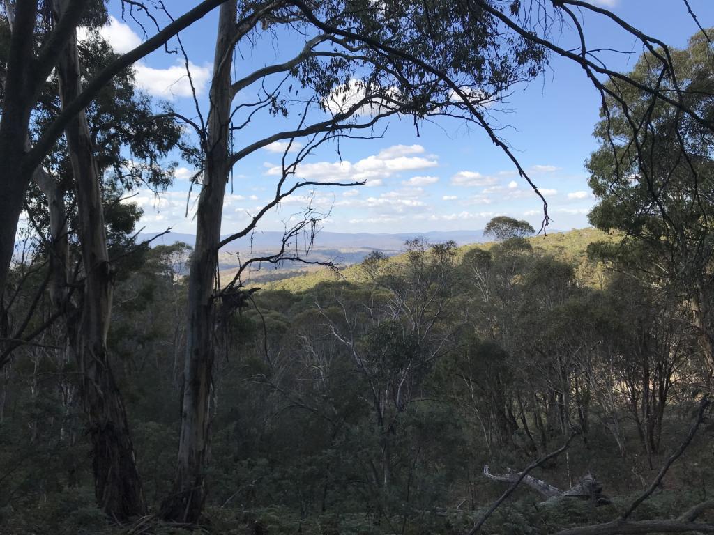 Lot 1 Bugtown Rd, Adaminaby, NSW 2629