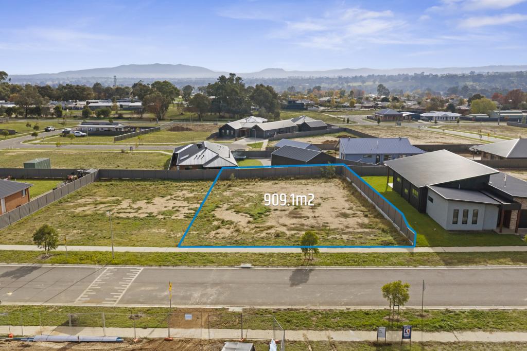 20 Williams Dr, Mansfield, VIC 3722