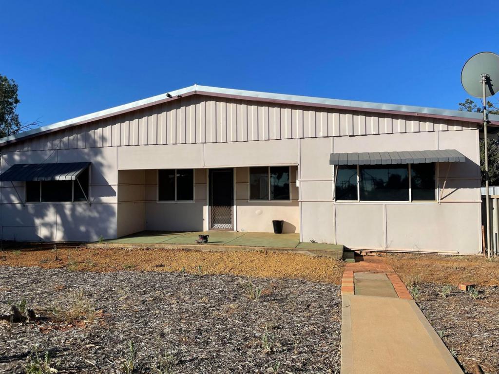 58 FOWLER ST, PERENJORI, WA 6620