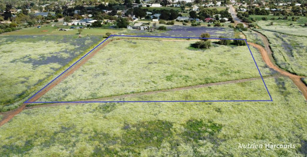 LOT 256 ESSEX ST, NORTHAMPTON, WA 6535