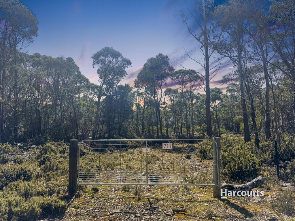 711 Arthurs Lake Rd, Arthurs Lake, TAS 7030