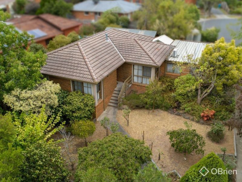 19 Blackwood Dr, Narre Warren, VIC 3805