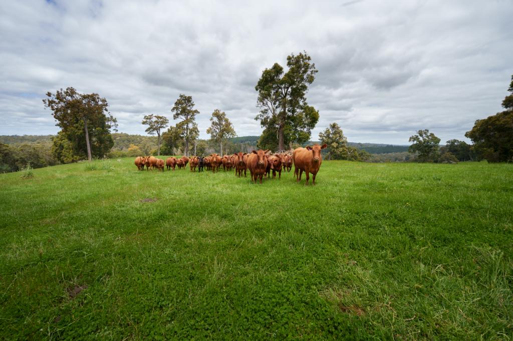 Lot 4 Kammann St, Manjimup, WA 6258