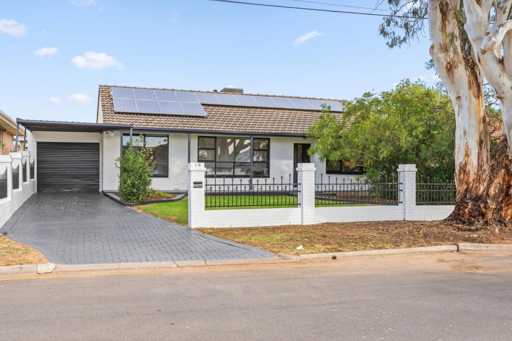16 Devon Ave, Newton, SA 5074