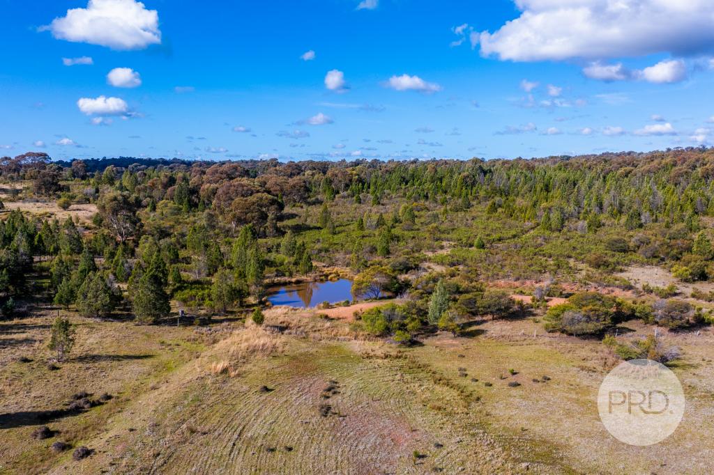 239 Combaning School Rd, Combaning, NSW 2666