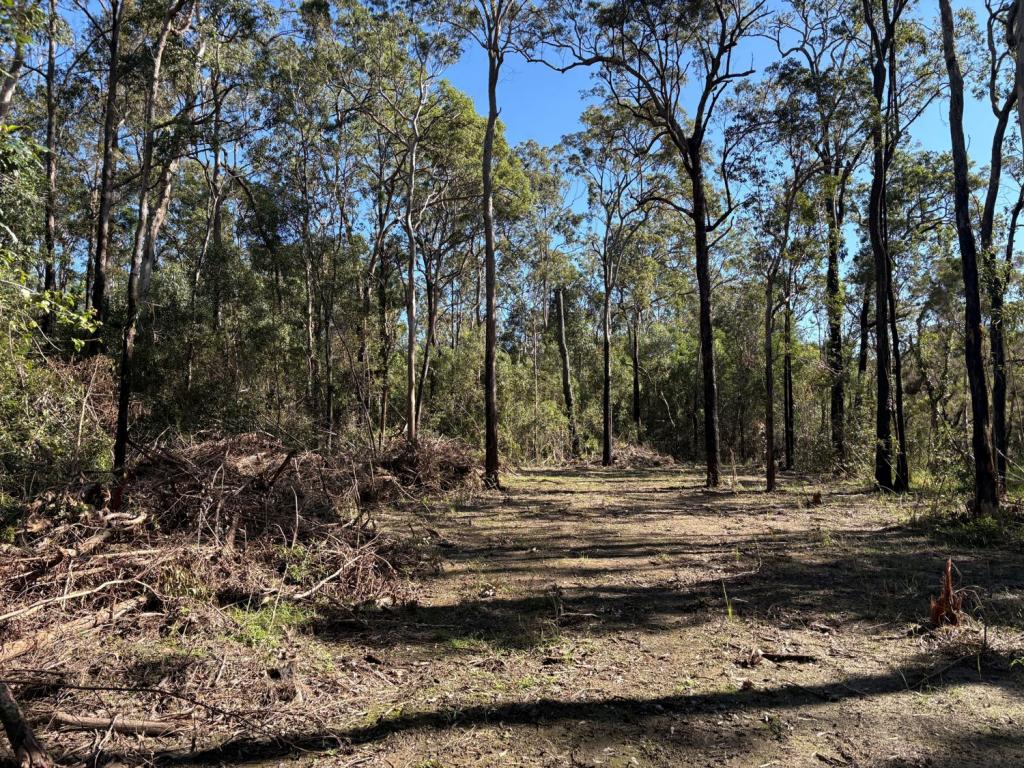 LOT 9 BUNGAWALBIN WHIPORIE RD, GIBBERAGEE, NSW 2469