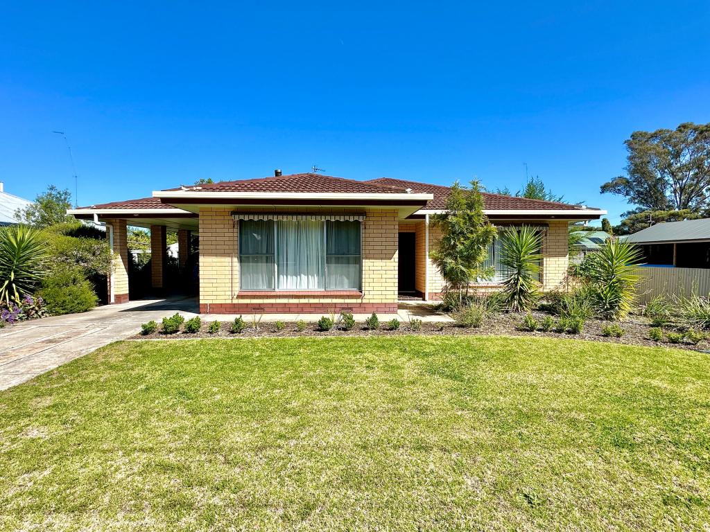 53 NARACOORTE RD, BORDERTOWN, SA 5268