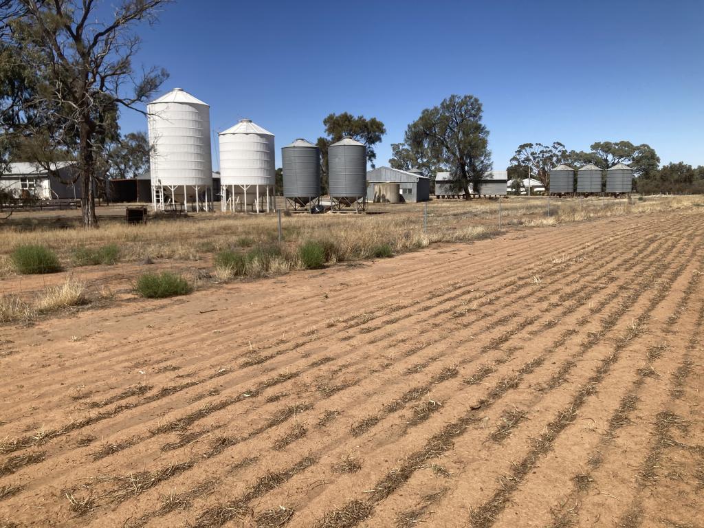 Lot 1 Culgoa-Lalbert Rd, Culgoa, VIC 3530