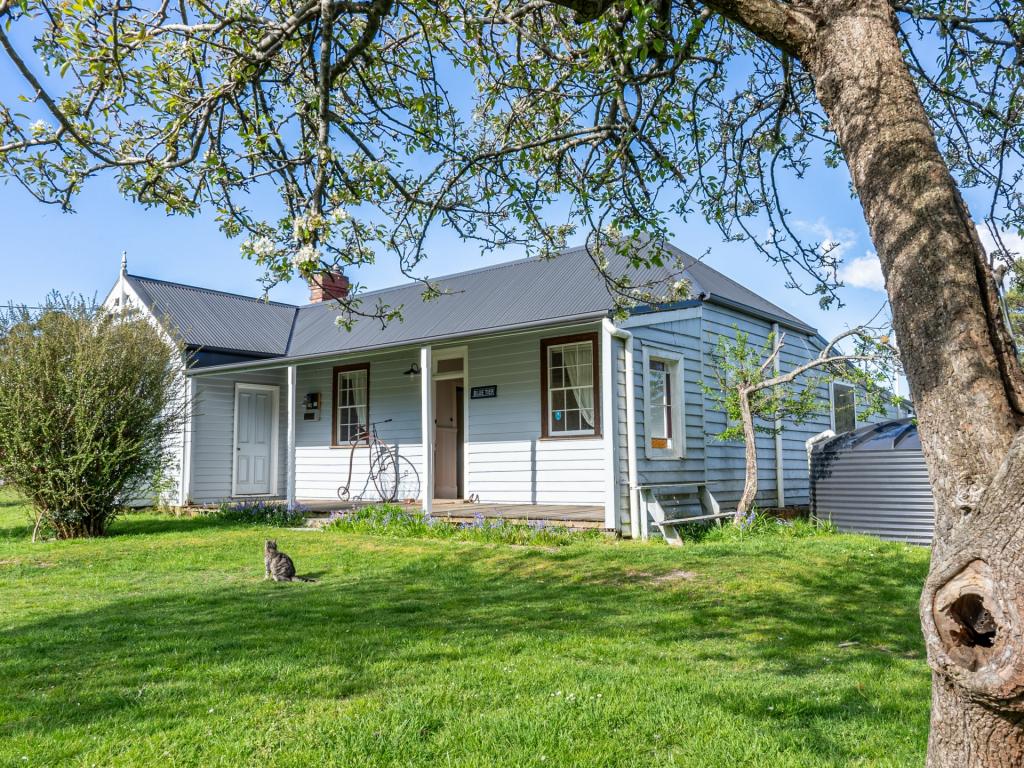 29766 Main Rd, Weldborough, TAS 7264