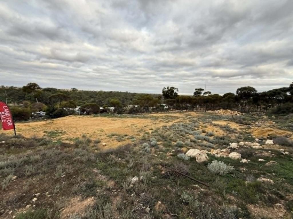 Lot 21 South Tce, Blanchetown, SA 5357
