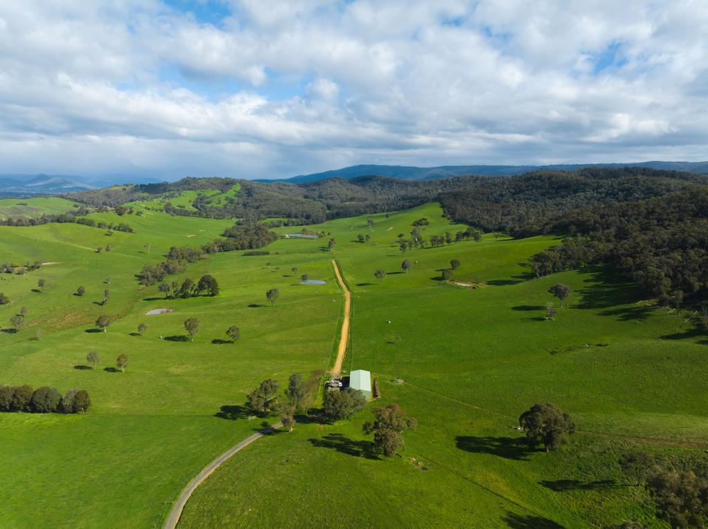 101 Yellow Creek Rd, Taggerty, VIC 3714