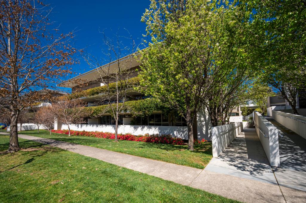 14/19 State Cir, Forrest, ACT 2603