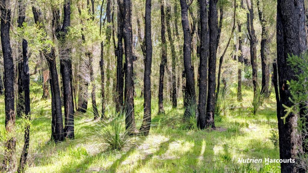 Lot 101 Chitna Rd, Neergabby, WA 6503