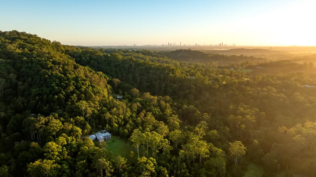 36 Pinetree Ct, Mudgeeraba, QLD 4213