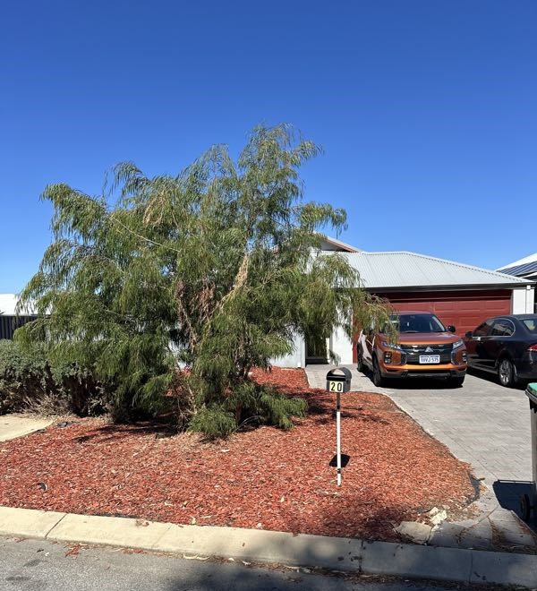 20 Westwood Cres, Baldivis, WA 6171