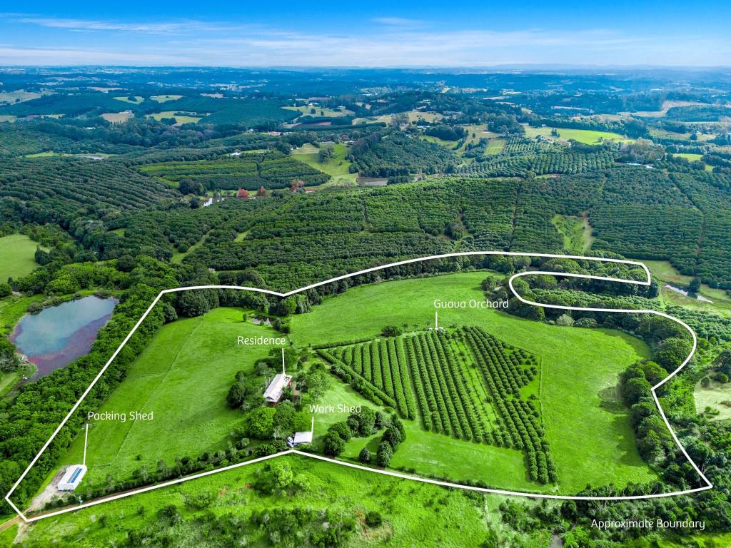 617 Hinterland Way, Newrybar, NSW 2479