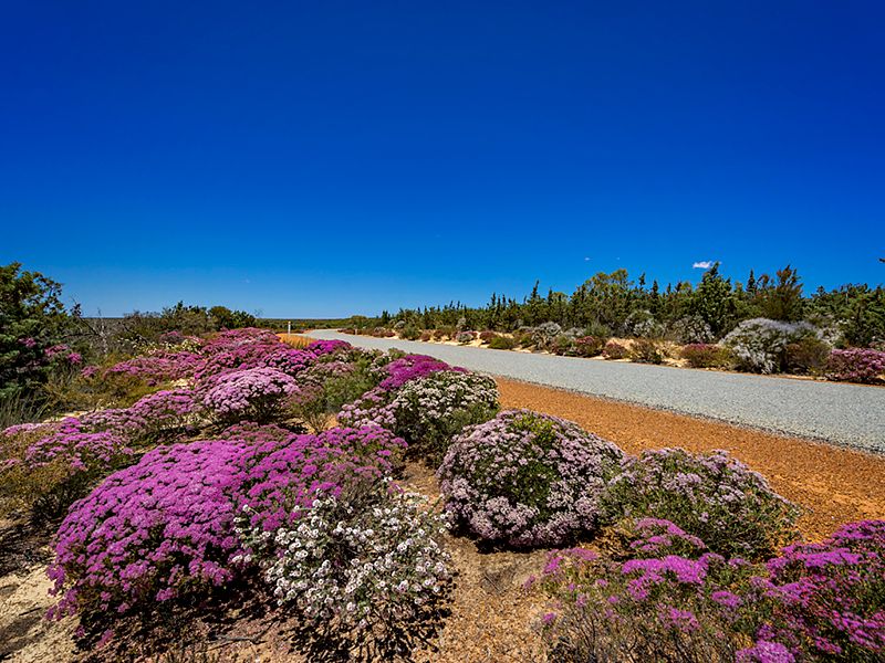 2 Ranch Ct, Kalbarri, WA 6536