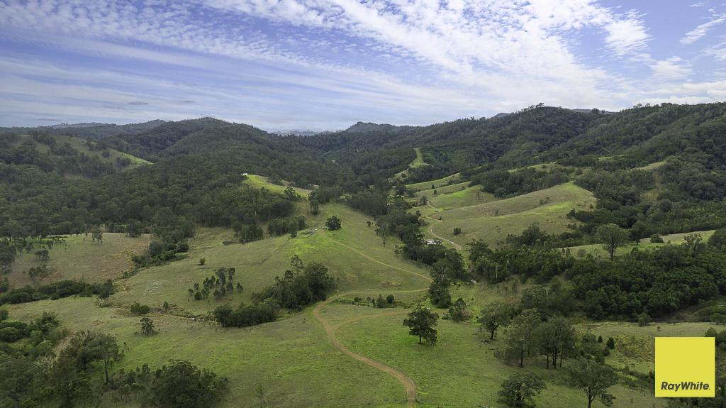 260 DOG TRAP CREEK RD, BINGLEBURRA, NSW 2311