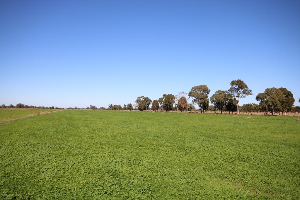 441 Johnson Rd, Lockington, VIC 3563