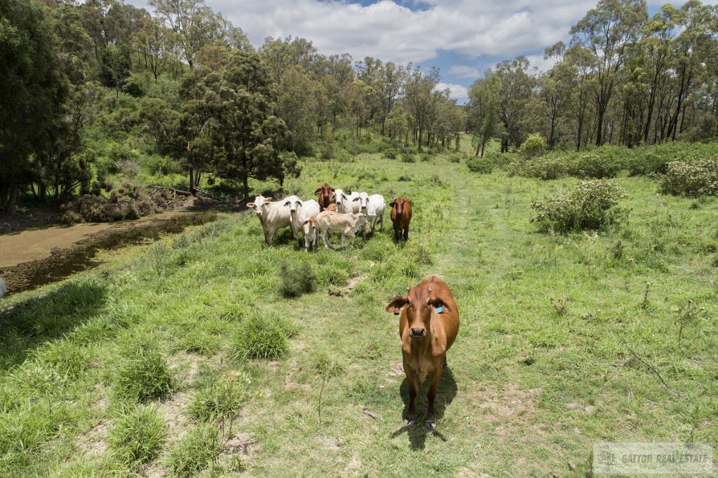 "Paradise" Gatton Clifton Rd, Mount Whitestone, QLD 4347