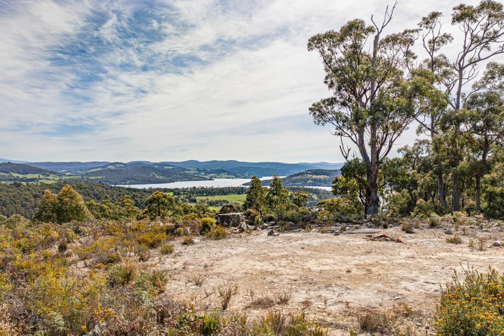 Lot 1 Huon Hwy, Surges Bay, TAS 7116