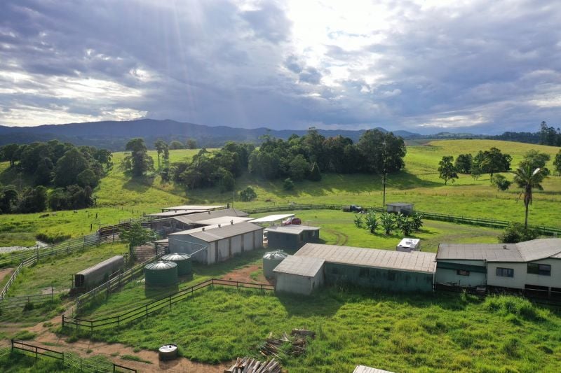 4903 Palmerston Hwy, Millaa Millaa, QLD 4886