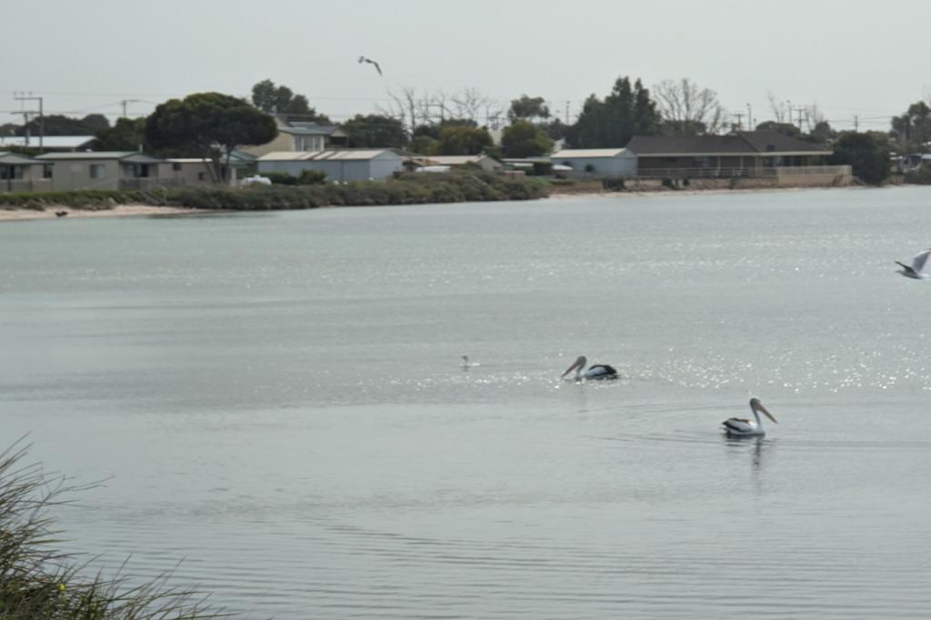 35 Beach Rd, Coobowie, SA 5583