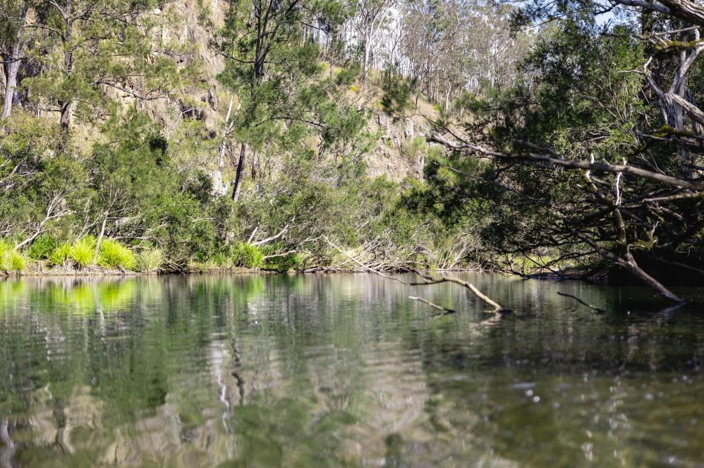 Lot 201 Paddys Flat Rd, Tooloom, NSW 2475