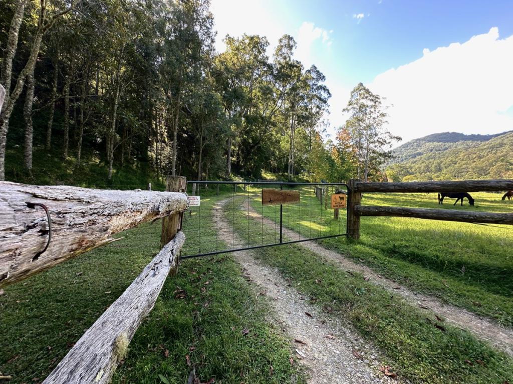 3025 Carrowbrook Rd, Carrowbrook, NSW 2330