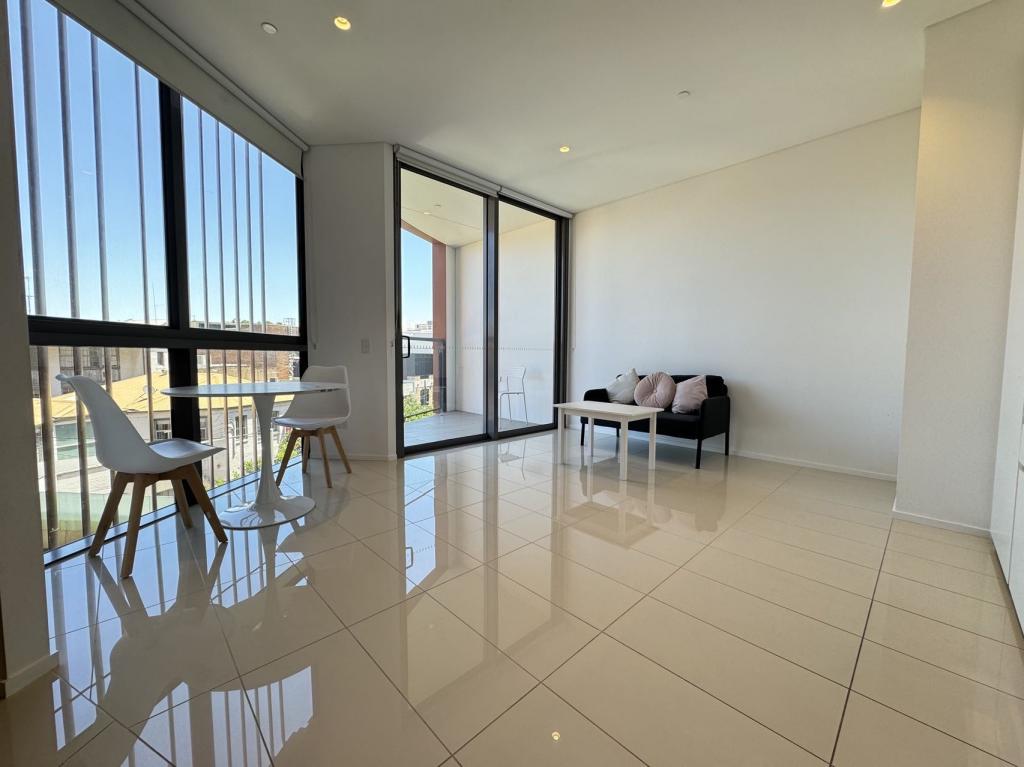 306/85 O'CONNOR ST, CHIPPENDALE, NSW 2008