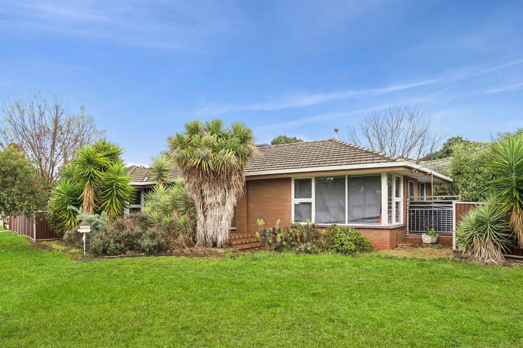 24 Fairfield Ave, Belmont, VIC 3216