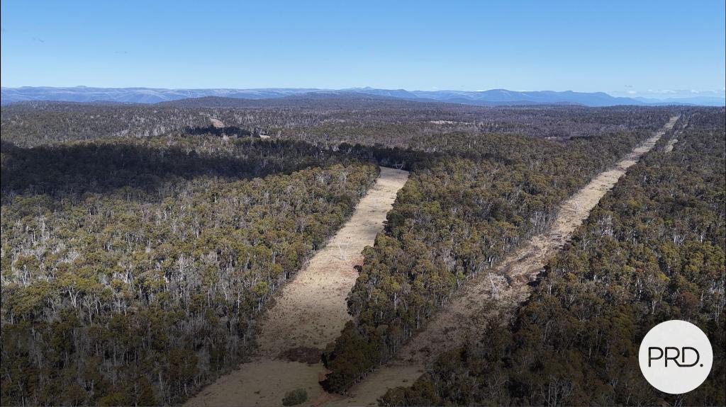 Lot 17 East Bago Powerline Rd, Tumbarumba, NSW 2653